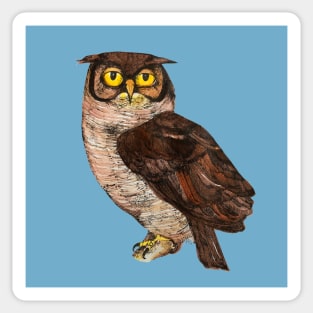 Great Horned Owl Wise Vintage Illustration Birders Graphic Bird Watchers Sticker